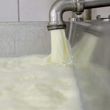 L&rsquo;INDUSTRIE LAITIÈRE, POIDS LOURD AUVERGNAT