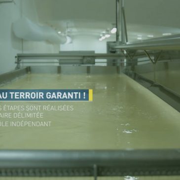 VIDEO : (Re)découvrez l&rsquo;histoire de l&rsquo;AOP Bleu d&rsquo;Auvergne.